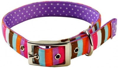 Yellow Dog Design Uptown Multi-Stripe on Purple Polka S (25-34cm) RRP 13.99 CLEARANCE XL 6.49